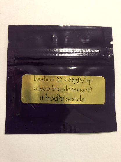 Deep Line Alchemy 4  (Kashmir 22 x 1988 G13 Hashplant)