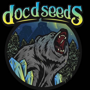 Doc D Seeds / Magic Spirit Seed Co