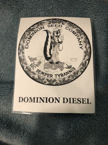 Dominion Diesel <br> (East Coast Sour Diesel x Dominion Skunk)