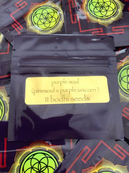 Purple Soul <br> (Pinesoul x Purple Unicorn)