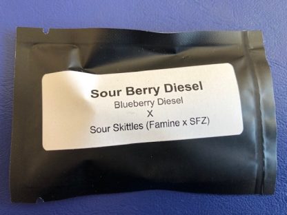 Sour Berry Diesel<br> (BB Diesel x SS)