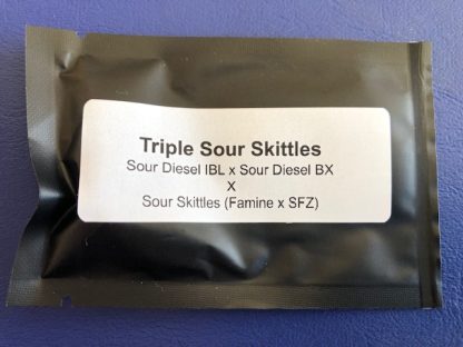 Triple Sour Skittles <br>  (Sour D ibl x Sour D bx) x Sour Skittles