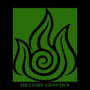 Hillfire Genetics