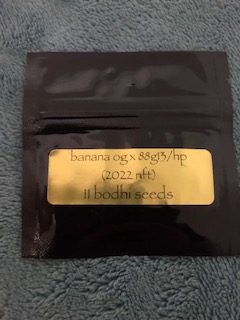 Banana OG x 1988 G13 HP