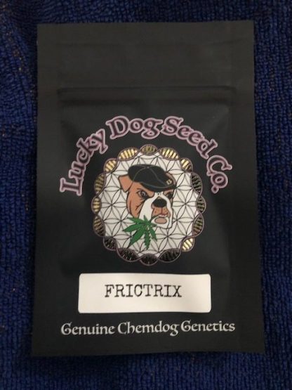 Frictrix <br> (Apple Fritter x Chemdog 91 Bx3)