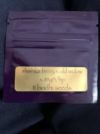 Shishka berry x old widow x 88g13/hp