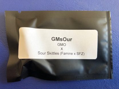 GMsOur <br> GMO X Sour Skittles (Famine x SFZ)