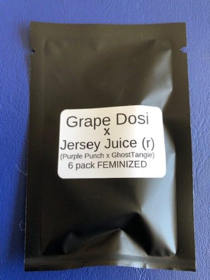 Grape Dosi X Jersey Juice (r) (Purple Punch X GhostTangie)