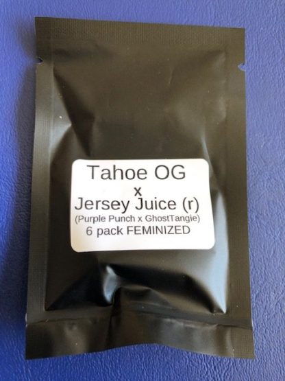 Tahoe OG X Jersey Juice (r) (Purple Punch X GhostTangie)