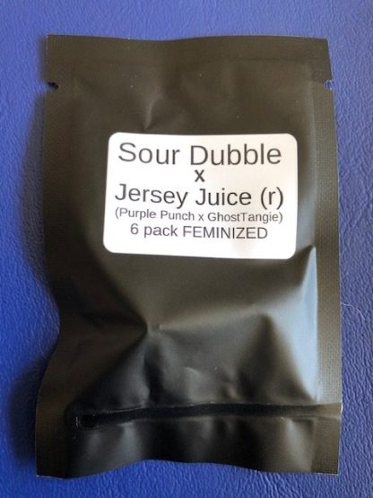 Sour Dubble X Jersey Juice (r) (Purple Punch X GhostTangie)