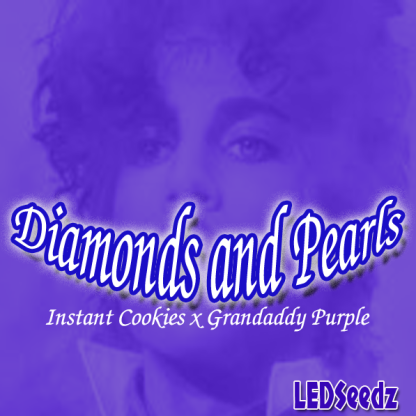 Diamonds and Pearls <br> (Instant Cookies x Grandaddy Purple)