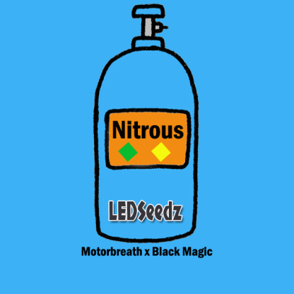 Nitrous <br> (Motorbreath x Black Magic) - Image 6