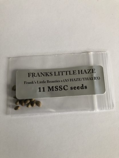 Franks Little Haze <br> Frank's Little Beauties X (A5 Haze/Thai BX)