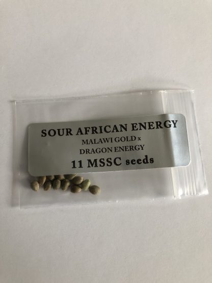 Sour African Energy <br> Malawi Gold X Dragon Energy