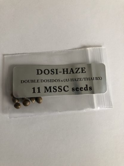 Dosi-Haze <br> Double Dosidos X (A5 Haze / Thai Haze)