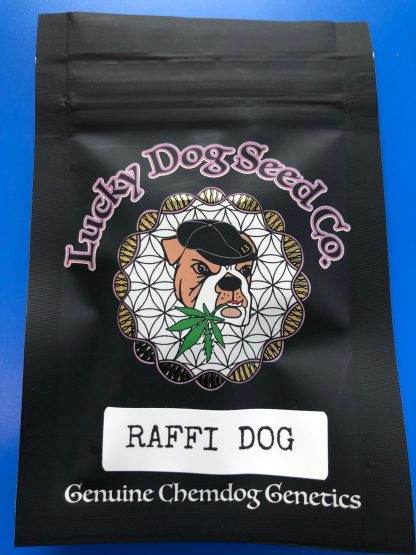 Raffi Dog <br> (Apple & Bananas X Chemdog 91 Bx3) - Image 2