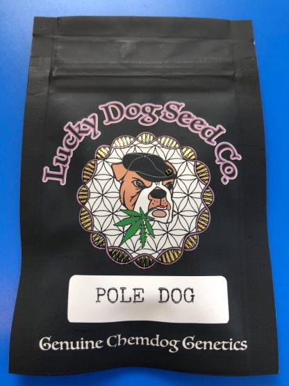 Pole Dog <br> (Skunk Dawg X Chemdog 91 Bx3) - Image 2