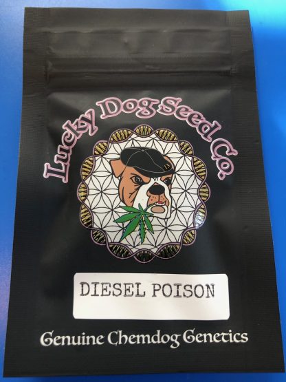 Diesel Poison <br> (Durban Poison X Chemdog 91 Bx3) - Image 2