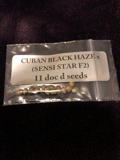 *FREEBIE LISTING* Cuban Black Haze X (Sensi Star F2)