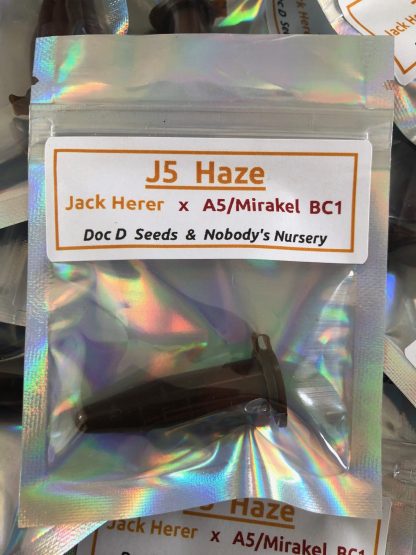 J5 Haze <br> (Jack Herer 10k cut x A5 Haze/Mirakel bc1