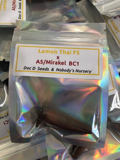 Lemon Thai f5 x A5 Haze/Mirakel bc1