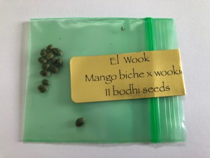 *FREEBIE LISTING* El Wook <br> (Mango Biche Colombian x Wookie 15)