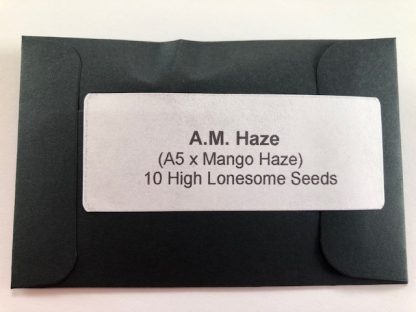 A.M. Haze <br> (A5 Haze x Mango Haze)