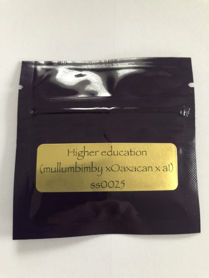 Higher Education <br> (mullumbimby X Oaxacan X A1)