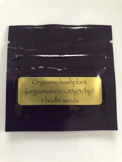 Orgasmic Hashplant <br> (Orgasmatron X 88g13/hp)