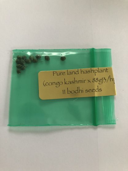 *Freebie Listing* Pure Land Hashplant