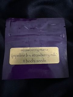 Strawberry Mana <br> (Pipeline B X Strawberry Milk)