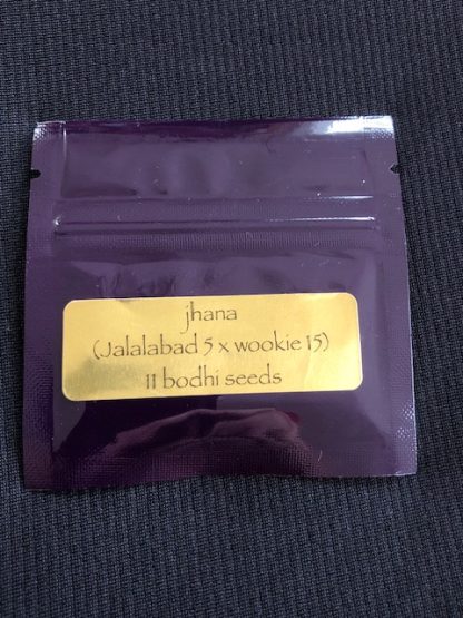 Jhana <br> (Jalalabad Star 5 x Wookie 15)