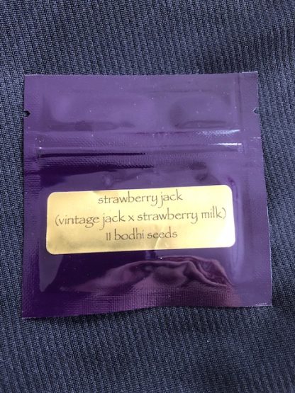 Strawberry Jack <br> (Vintage Jack Herer x Strawberry Milk)
