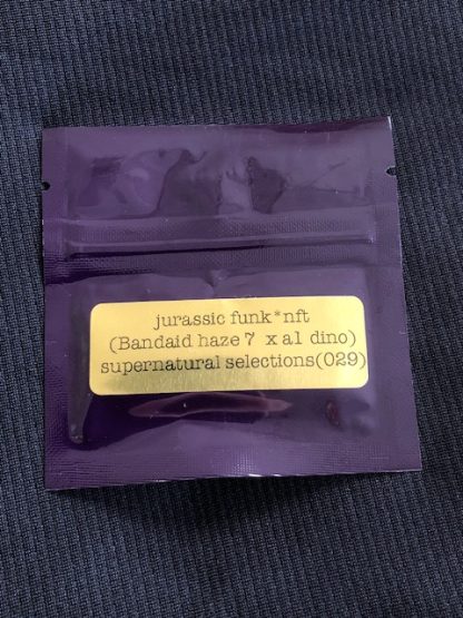 Jurassic Funk <br> (Bandaid Haze 7 x Artifact A1 Afghani *Dino)