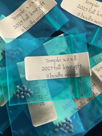 *Freebie Listing*  Temple x Z x Lavender Lemonade