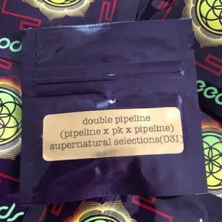 Double Pipeline<br> (Pipeline Hashplant x Pure Kush/Pipeline Hashplant) <br> Supernatural Selections release #031