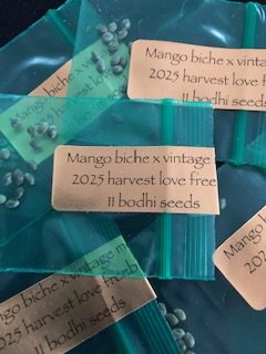 *Freebie Listing* Mango Biche x Vintage Mexican