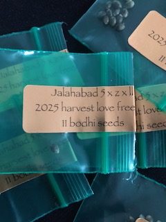 *Freebie Listing* Jalalabad 5 x (Zkittles x Lavender Lemonaid)