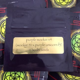 Purple Wookie V4 <br> (Wookie 41 x Purple Unicorn f3)