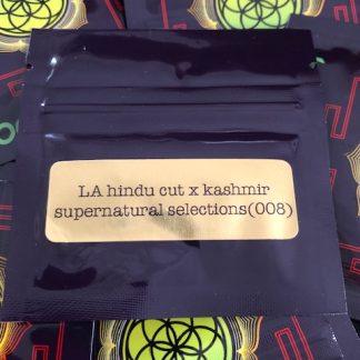LA Hindu x Kashmir <br> Supernatural Selections #008 release