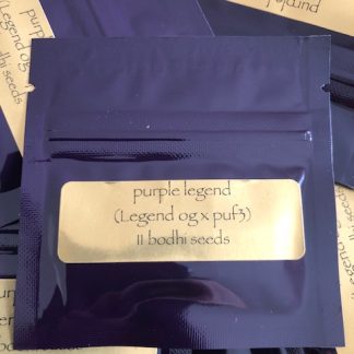 Purple Legend <br> (Legend OG x Purple Unicorn f3)