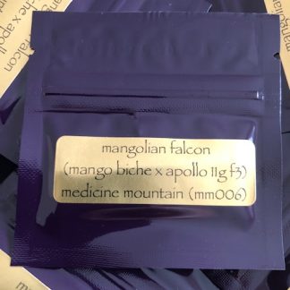 Mangolian Falcon <br> (Mango Biche Colombian x Apollo 11 genius pheno male f3)