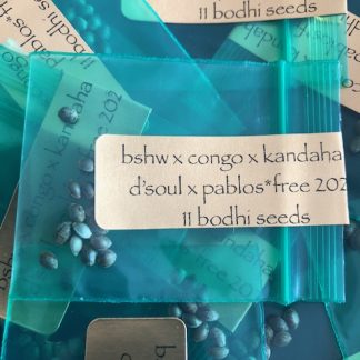 *Freebie Listing* Big Sur Holy Weed x Congo x Kandahar x D'Soul x Pablos