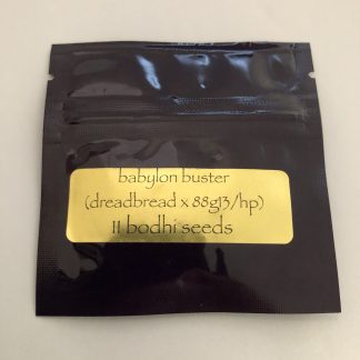 Babylon Buster (Dreadbread x 88g13/hp)