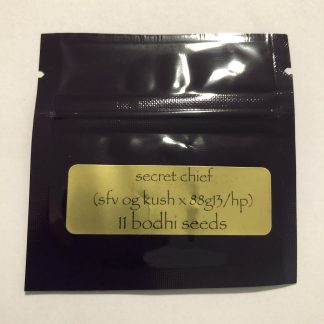 Secret Chief (SFV OG Kush x 1988 G13 Hashplant)