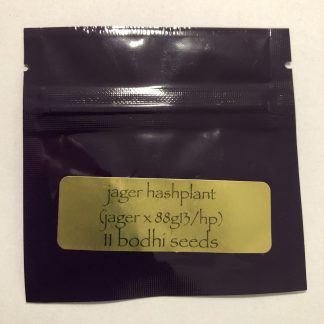 Jager Hashplant (Jager x 88g13/HP)