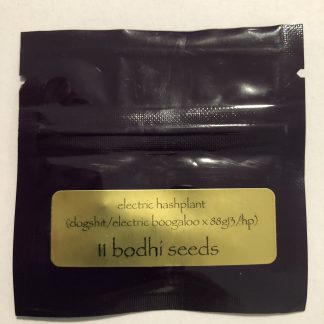 Electric Hashplant <br> (dogshit/eletric boogaloo x 88g13/hp)