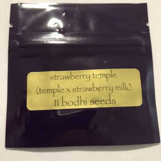 Strawberry Temple <br> (Temple X Strawberry Milk)