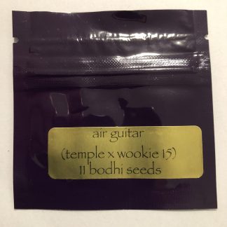 Air Guitar <br> (Temple x Wookie 15)