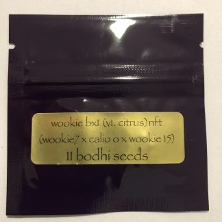 Wookie bx1 (v1.citrus) *nft <br> (Wookie 7 x calio o x Wookie 15)